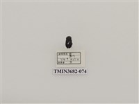 藏品(鞘翅目(2))的圖片